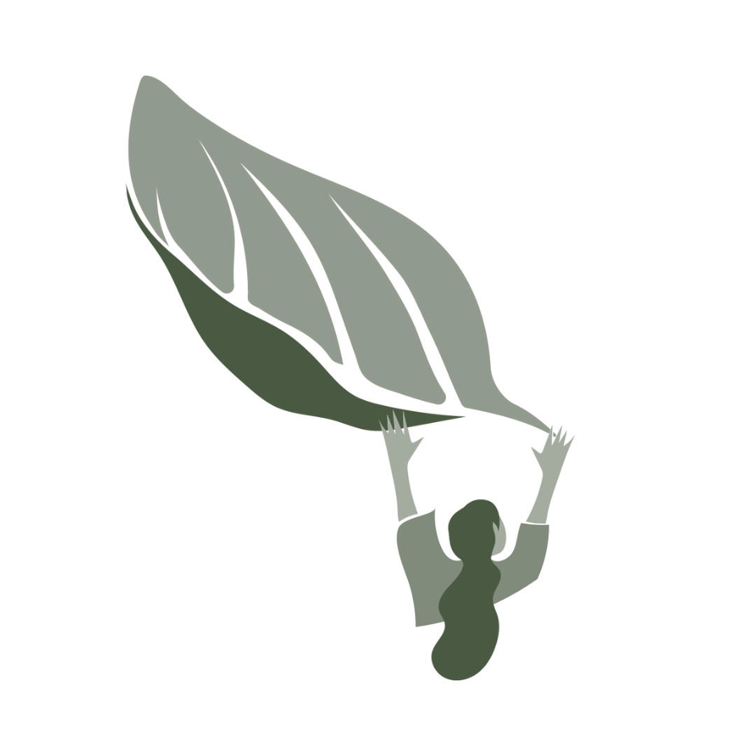 Educación transformadora – Coop La Tregua