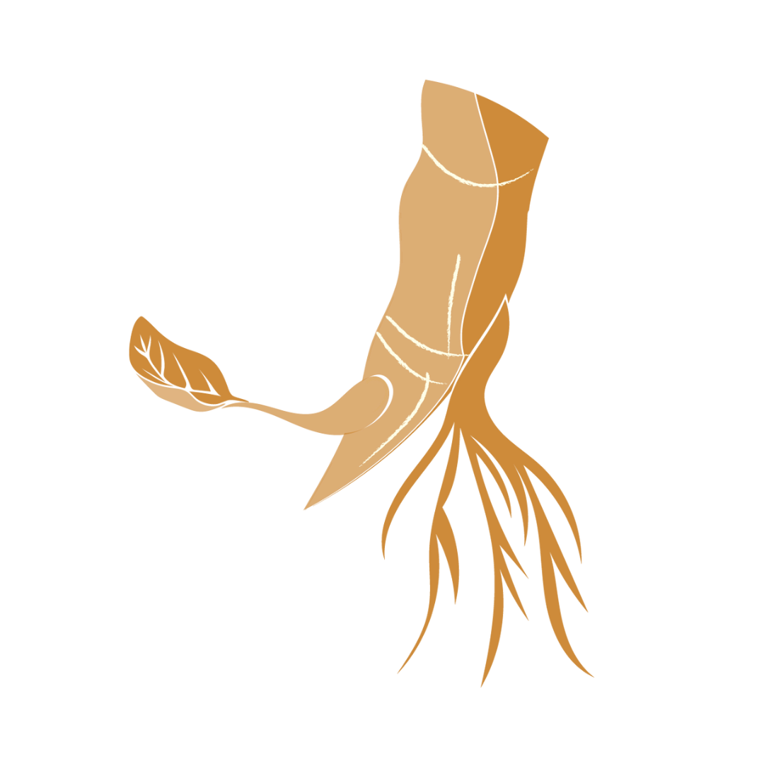 Estudios y acción descolonial – Coop La Tregua Estudios y acción descolonial - Coop La Tregua